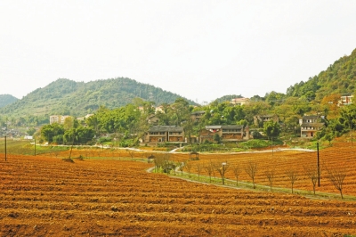 玉峰山镇旱土村美丽乡村画卷正舒展开来
