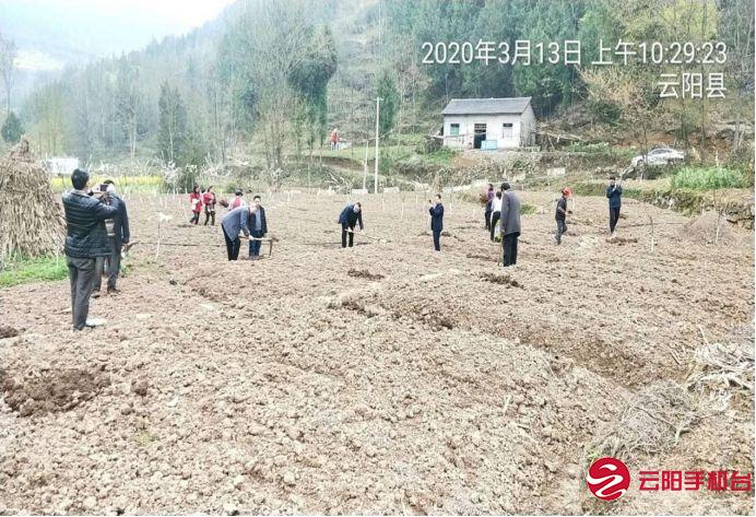 云阳新闻 正文