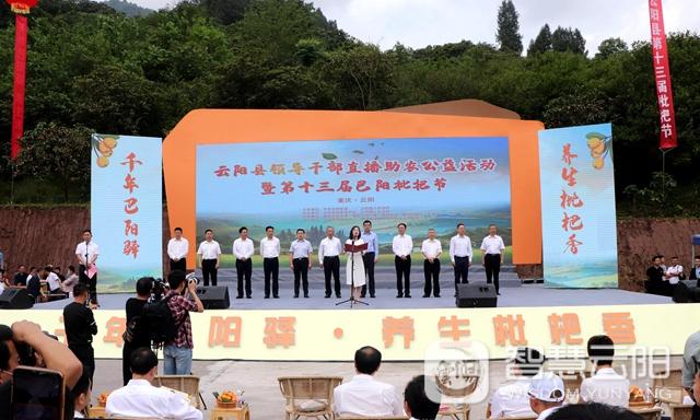 云阳县领导干部直播助农公益活动暨第十三届巴阳枇杷节开幕式举行