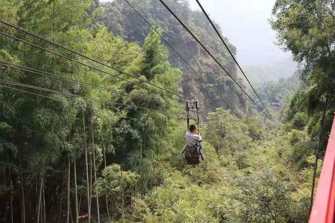 aaa景区凤凰花果山网红明星旅游节4