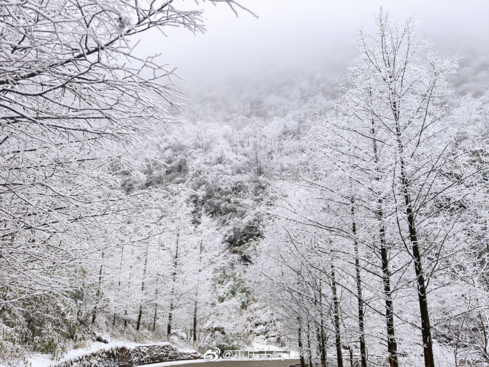 今日份重庆雪景来自城口蓼子乡
