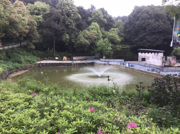 在地处被誉为重庆天然氧吧的4a自然风景名胜区的铁山坪,田园农家乐阳