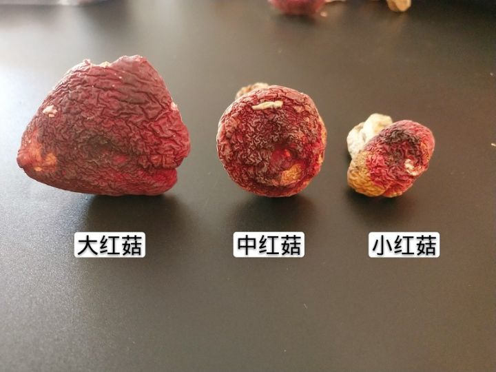 红菇无法大规模人工栽培产量不高市场上的厂家供应价格也一直居高不下