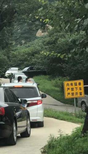 北京八达岭动物园儿童探出车 意外伤残赔偿10