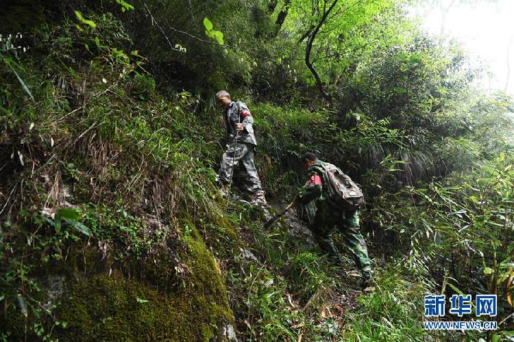 重庆最高峰护林员巡山26年 半年后将退休
