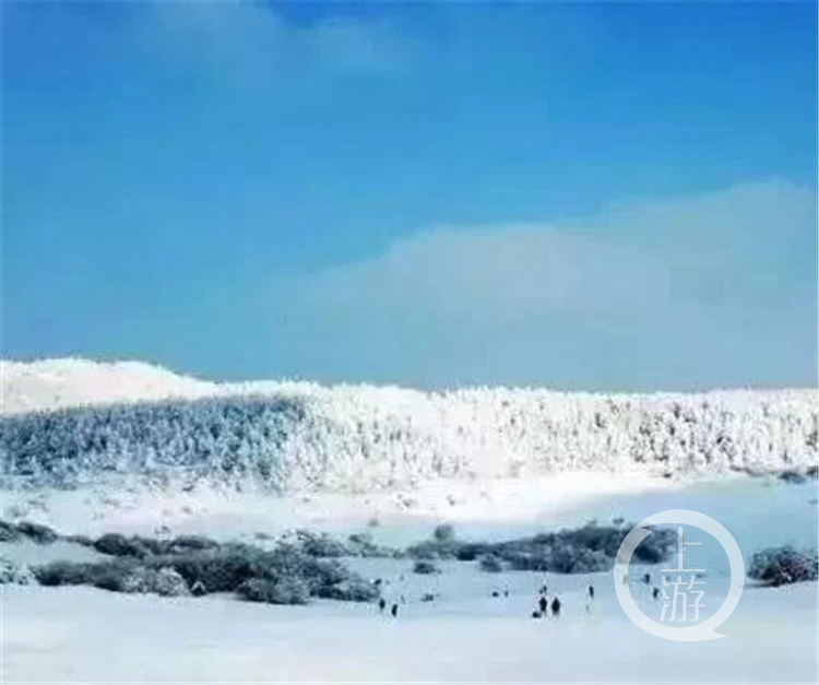 开州区雪宝山下雪了!快去与皑皑白雪来场"约会"吧