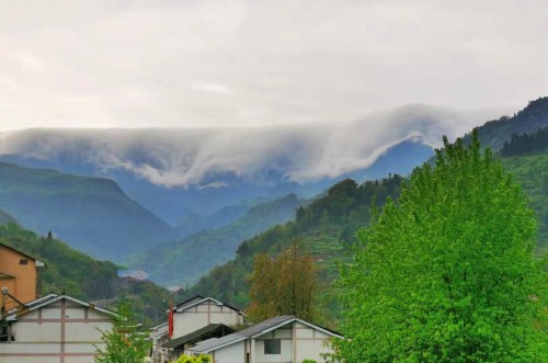 重庆金佛山简介