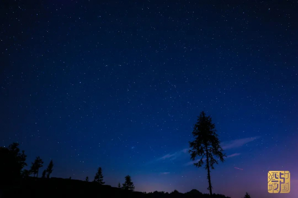 这个周末想约你一起看泸州星空繁星银河唾手可得