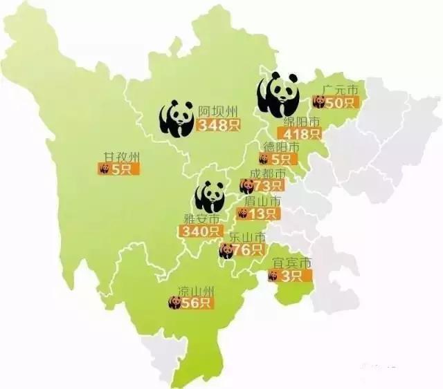 大熊猫寻踪之旅绵阳平武偶遇机率最大