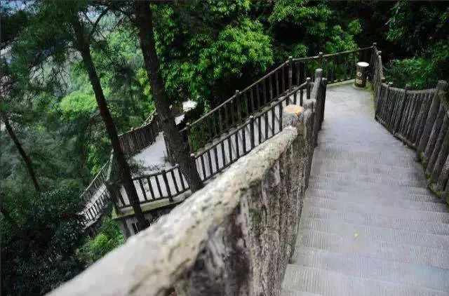 清凉地的代名词在夏天歌乐山森林公园歌乐山镇—歌乐山森林公园坐标