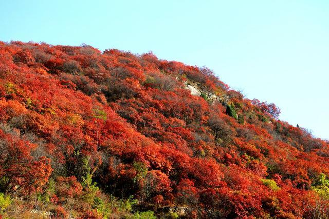 看万山红遍 烟霞漫天:在文祖大山里释放心情