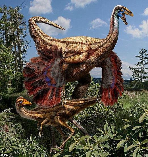 有关恐龙的十大有趣事实:有些竟有羽毛,但不会飞