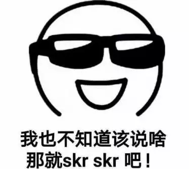 这到底skr啥?