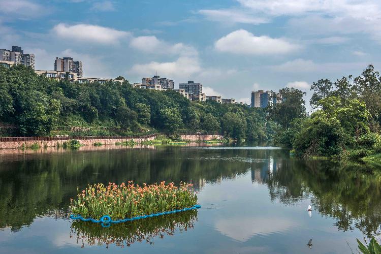 北碚区又启动了梁滩河流域生态综合治理(一期),竹溪河流域,瓶兰花公园