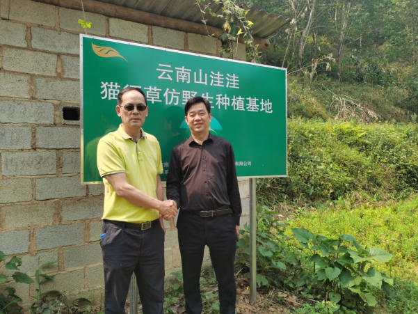 山城宝贝董事长张洪诚一行考察南药工程项目