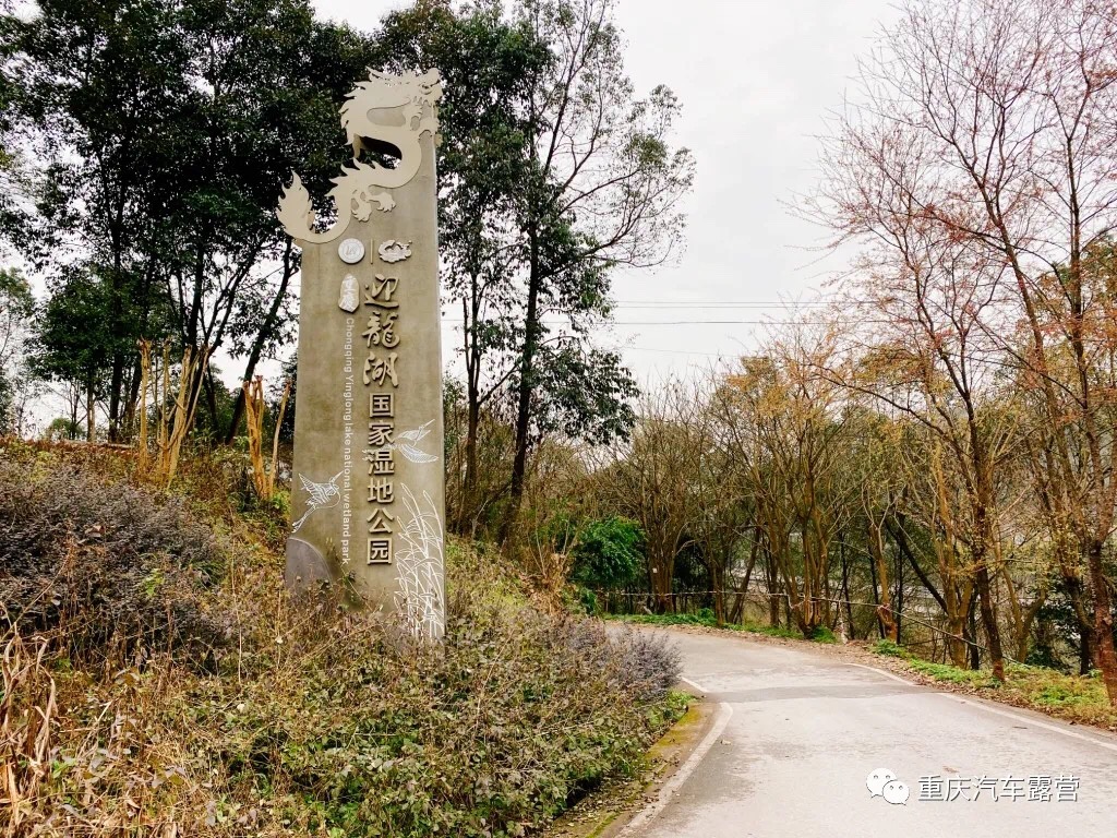 初探重庆主城最大的湿地公园,迎龙湖国家湿地公园