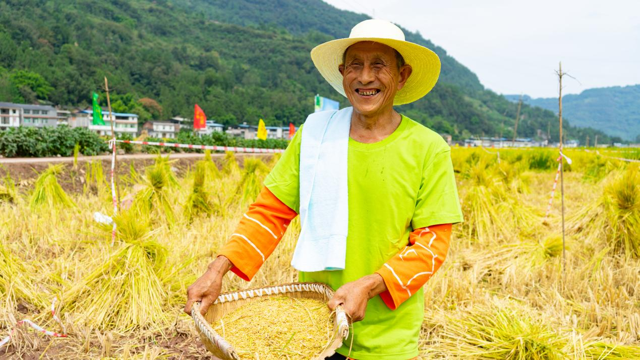 重庆奉节第四个中国农民丰收节圆满举行,红土乡万亩稻田喜获大丰收!