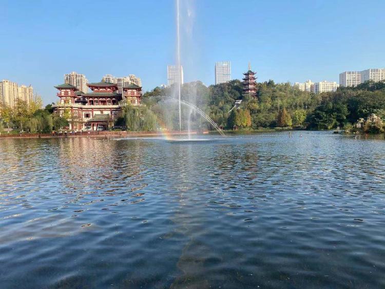 重庆网络广播电视台丨看永川兴龙湖水生态修复工程使水体有了自洁能力
