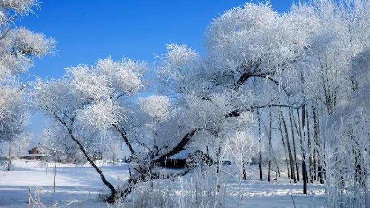 最美8大赏雪胜地,来看看有多美