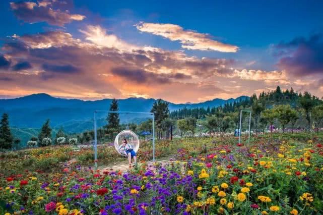 百花春色,遍地芬芳——云中花都