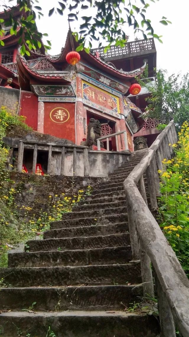 周末游 > 正文  地址:沙坪坝区金碧正街码头 祈福提示:水观音没有开阔