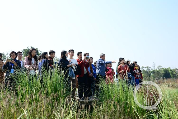 生态学专家和参会人员在双桂湖国家湿地公园实地调研。张常伟 摄 (2).JPG