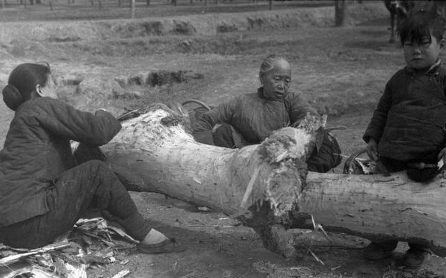 相信很多人都会被剧情所震撼,但笔者要告诉大家的是,真实的1942年比