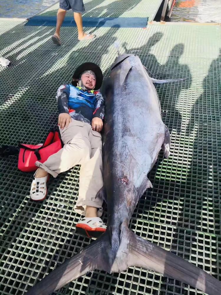 夜雨丨朋友圈里的一条蓝马林鱼 - 廖黑叔叔