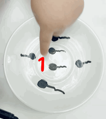 在镜子上画的,服~做完后可以和孩子讲讲【密度原理】:为什么水倒下去