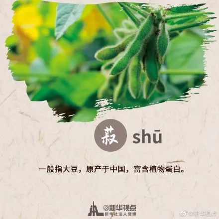 ⑤菽(shū):豆类的总称,也特指"大豆".