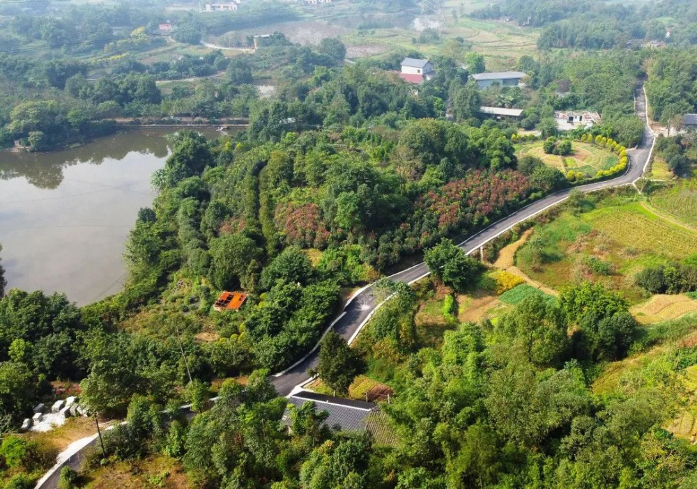 近日,迎着初冬的暖阳,走进璧山区健龙镇,只见平坦宽敞的水泥路四通