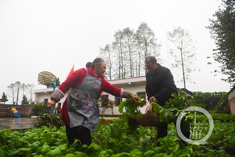 守望忠县美丽乡村教师谭定华一个人一所学校