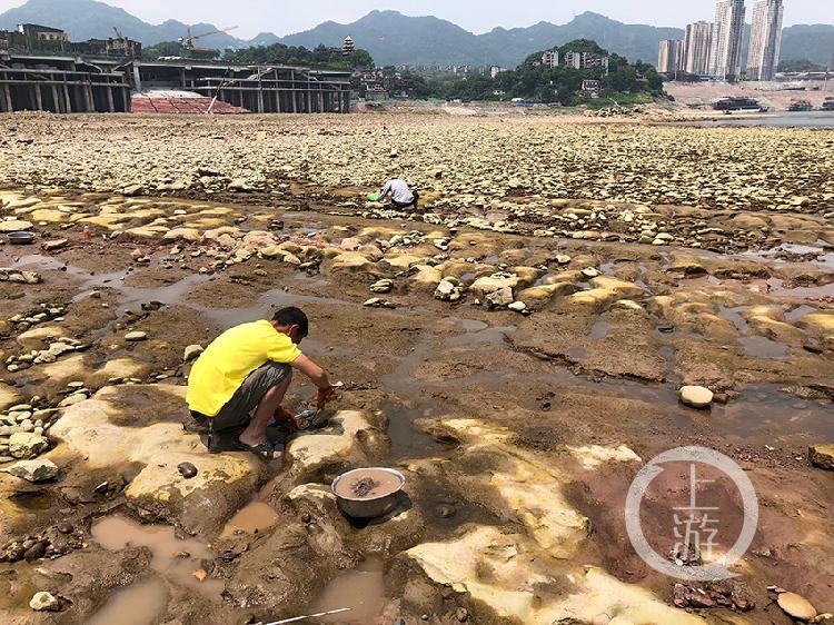 沙子里能淘出金子磁器口河滩上每天都有一群淘金人