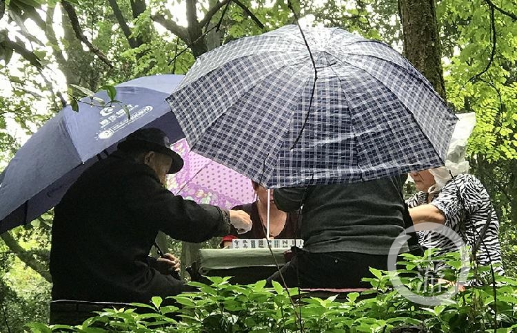 风雨无阻!市民雨中撑伞打麻将