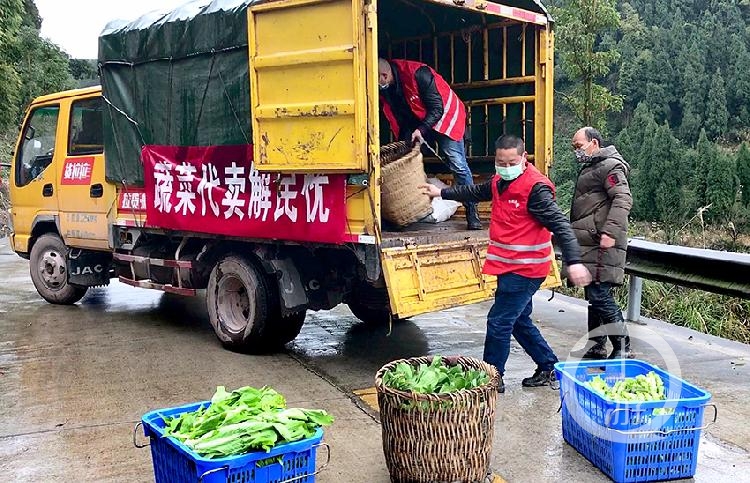 "保供直通车"保供助春耕 蔬菜种植大户脸上笑开花