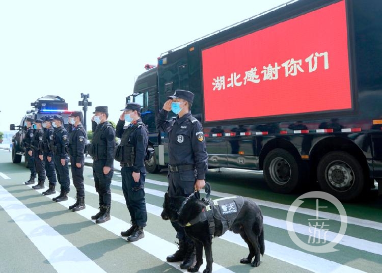 机场特警队员向重庆医护人员敬礼.