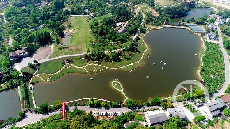 距离主城一小时的巴南区天坪山云林天乡景区,成为市民前来赏花游玩的