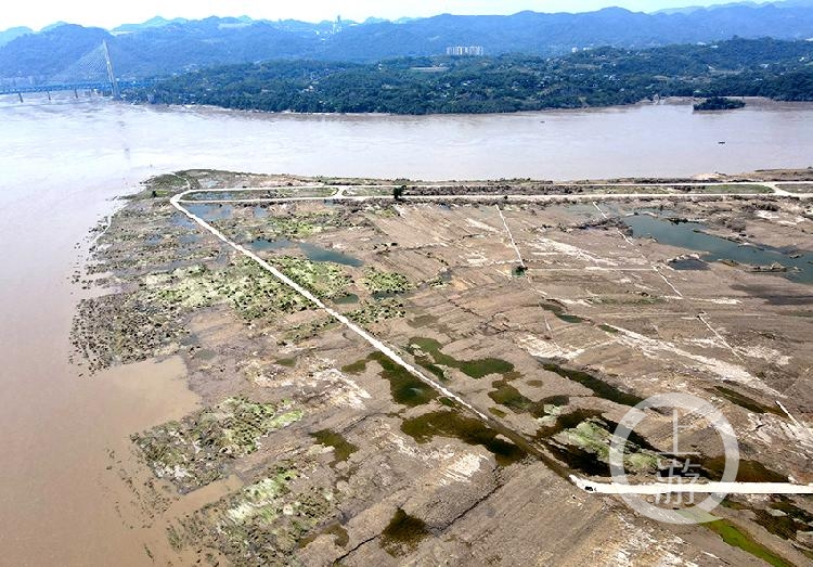 《洪峰后的中坝岛》组照三 梁萍 摄于巴南区鱼洞中坝岛