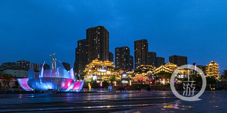 《茶花广场璀璨夜》 王新 摄于巴南区融汇半岛茶花广场