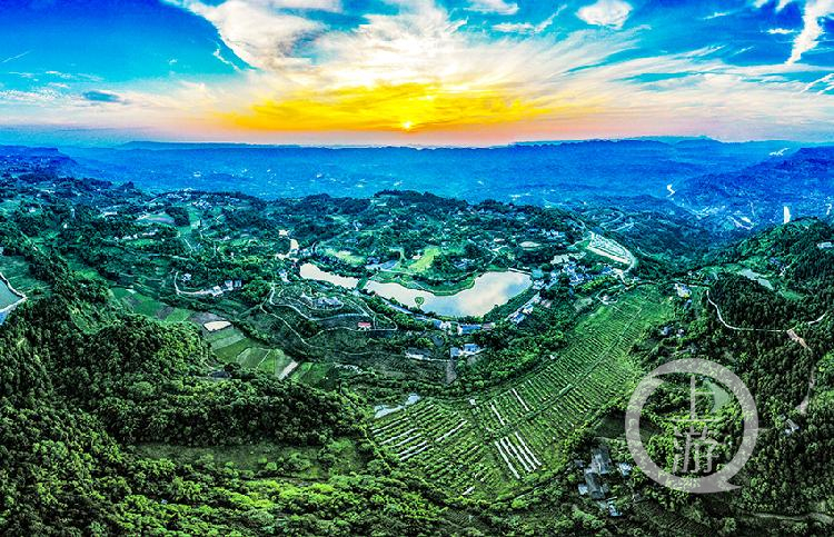 《绿色氧吧》组照三 黄伟 摄于巴南区天坪山云林天乡景区