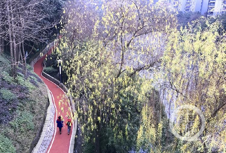 春节新去处渝北双龙湖的夜景靓了17处新增文化景观讲述中华传统文化