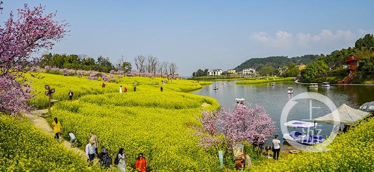 春到白鹭潭 冯亚宏摄 2021年2月24日摄于巴南区二圣镇云林天乡风景区