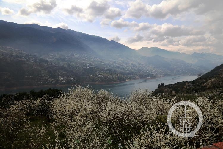 重庆巫山:壮丽三峡 彩云恋花