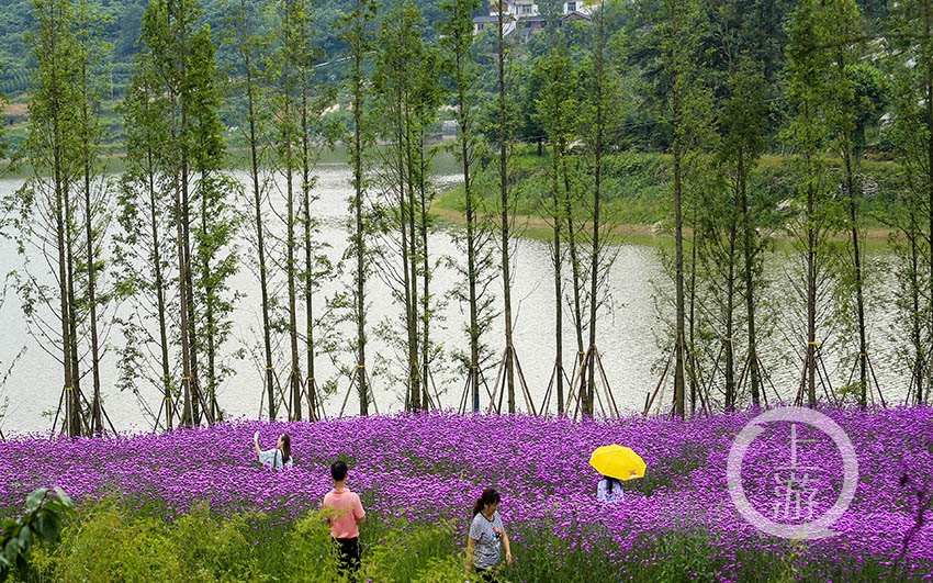 近日,沙坪坝区中梁镇,众多游客在斐然湖边尽情游玩.