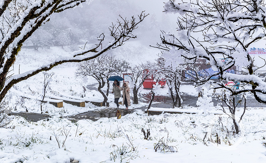 重庆南川:金佛山下雪了