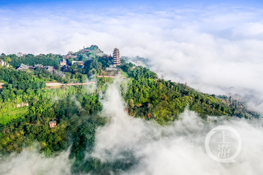 近日,长寿区菩提山上出现壮美日出云雾景观,晨光轻柔地铺洒在云海上