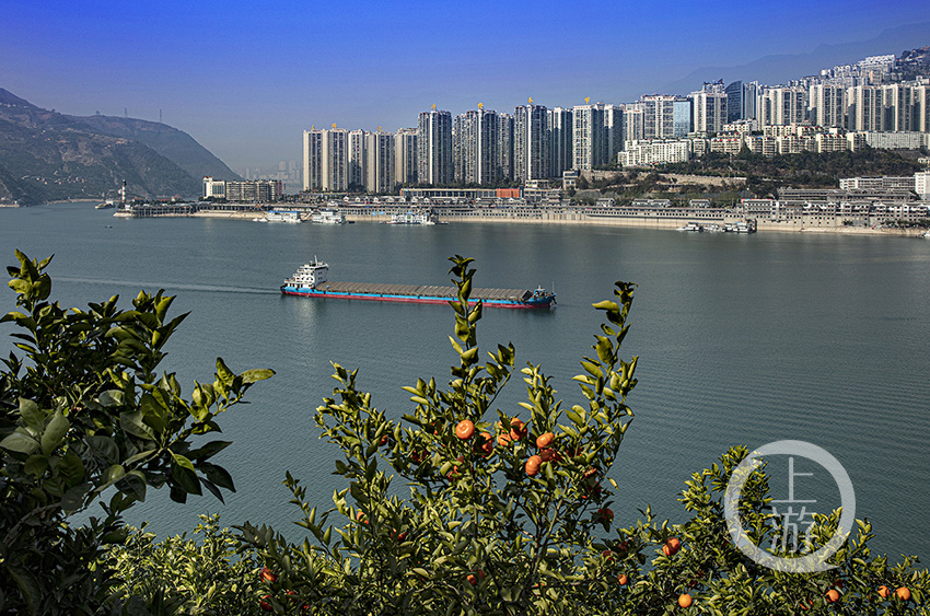 古城阙中耀夔塔.浩瀚平湖碧波粼,沿岸脐橙似黄金.