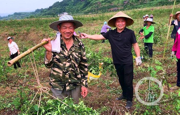 开保时捷的温州大叔长寿承包荒山种花椒带领乡亲脱贫奔小康