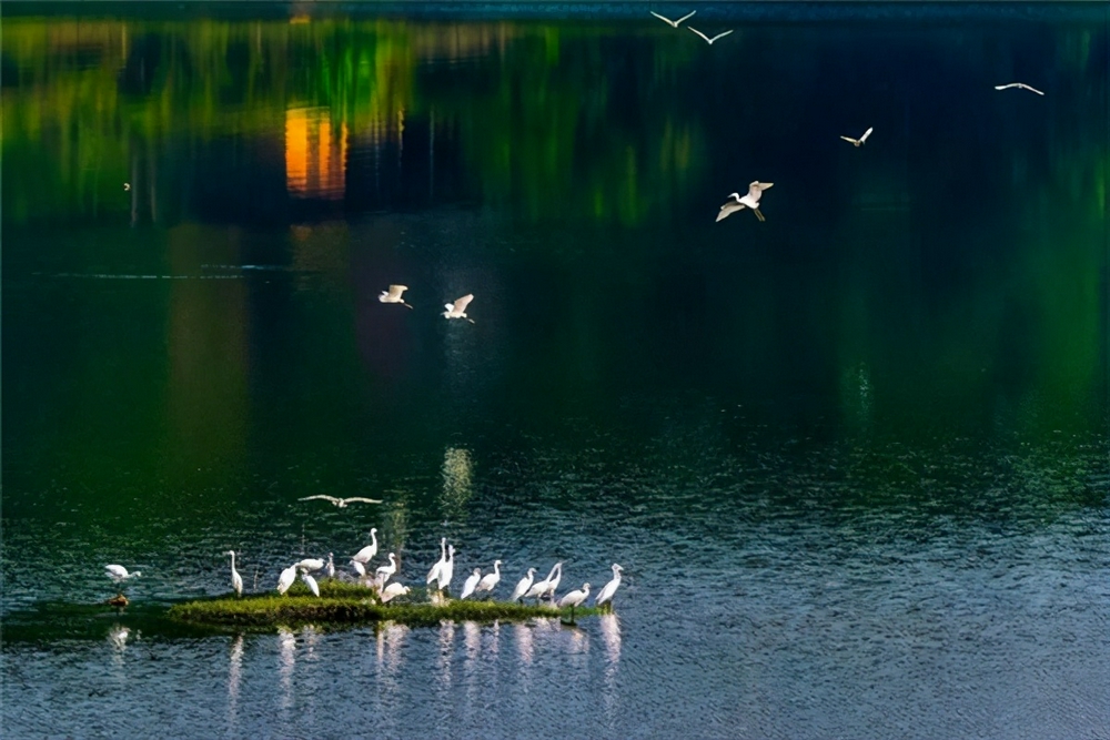 新化龙湾国家湿地公园图片