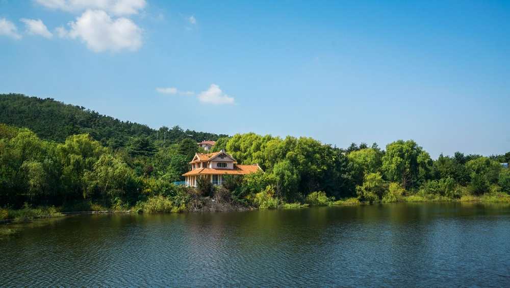 秋游看过来!森林氧吧老虎山申请出圈